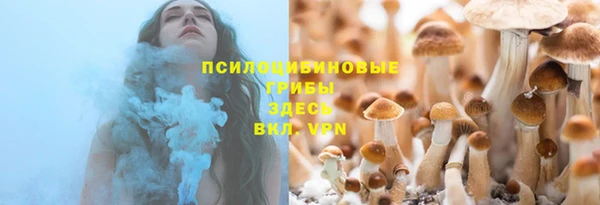 гидропоника Саяногорск